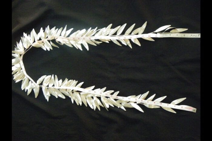 Unpolished 99.9% Fine Silver Maile Presentation Lei